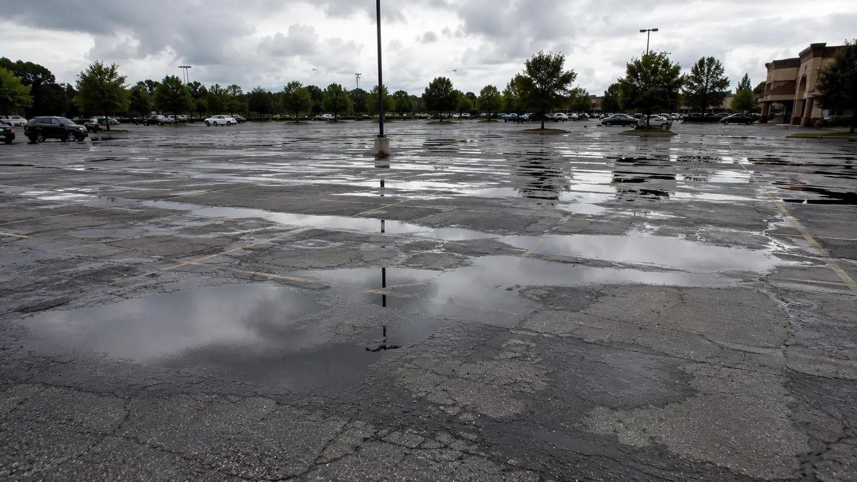 Standing water pooling in multiple areas across a commercial parking lot after rainfall indicating drainage failure